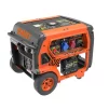 Генератор бензиновий GENERGY FORMIGAL 7 кВт - 8