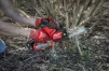 Пила ланцюгова акумуляторна Milwaukee M12 FUEL FHS-602X 12В 2х6А·год шина 15см кейс 1.9кг - 7