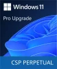 Програмний продукт Microsoft Windows 11 Pro Upgrade - 1