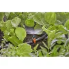 Мікронасадка Gardena Micro-Drip-System секторна 180° 5 шт - 7