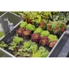 Комплект для поливу Gardena Micro-Drip-System Raised Bed Set для високих грядок на 35 рослин - 3