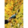 Кущоріз-ножиці акумуляторні Gardena ClassicCut - 2
