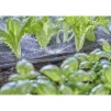 Мікронасадка Gardena Micro-Drip-System секторна 180° 5 шт - 2