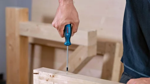 Викрутка Bosch Professional Torx T10x75мм