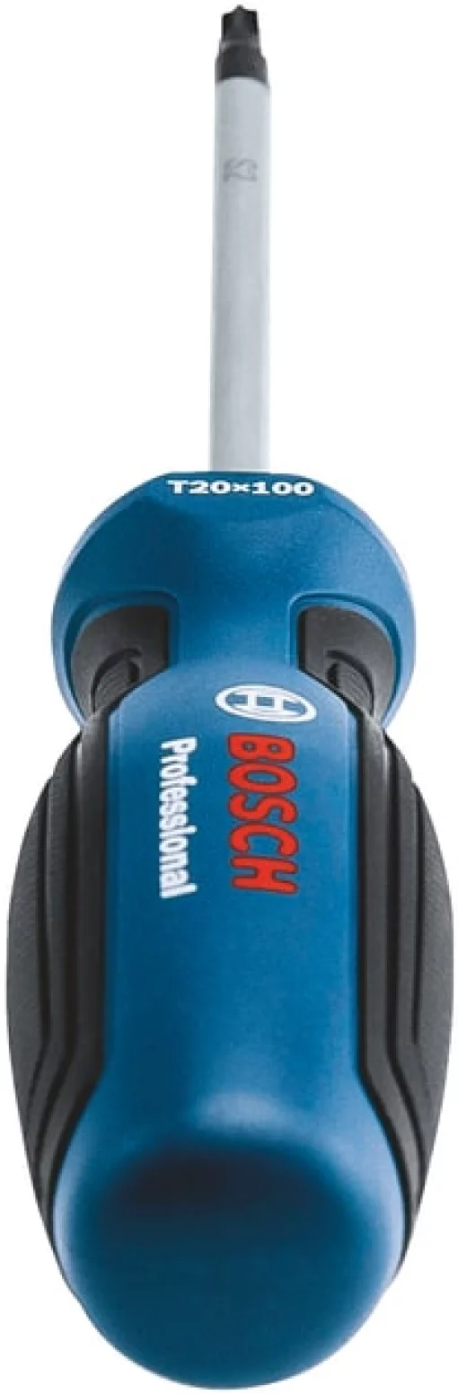 Викрутка Bosch Professional Torx T20x100мм