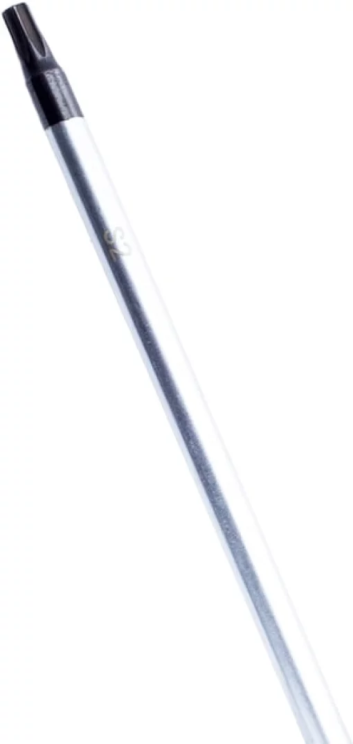 Викрутка Bosch Professional Torx T20x100мм