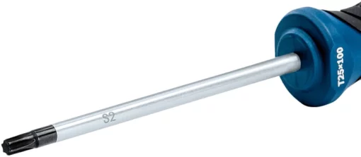 Викрутка Bosch Professional Torx T25x100мм