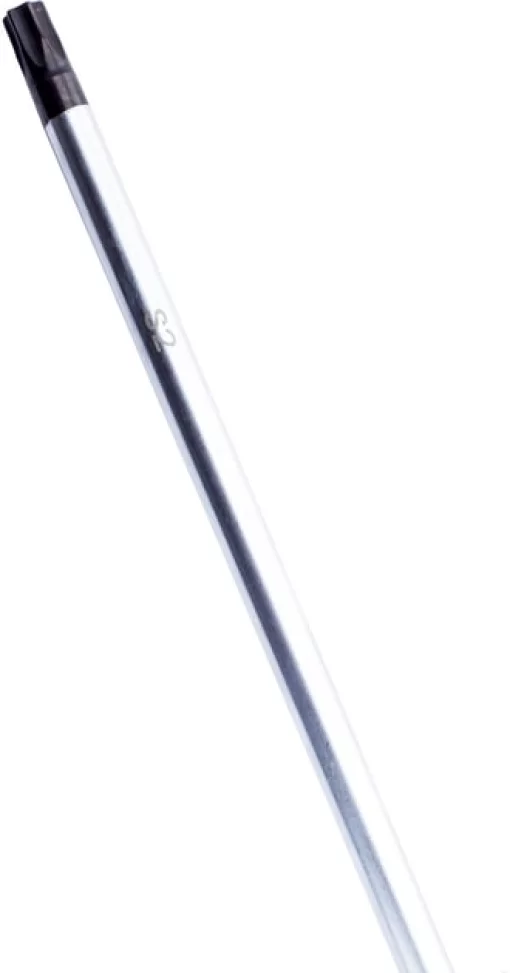 Викрутка Bosch Professional Torx T30x125мм