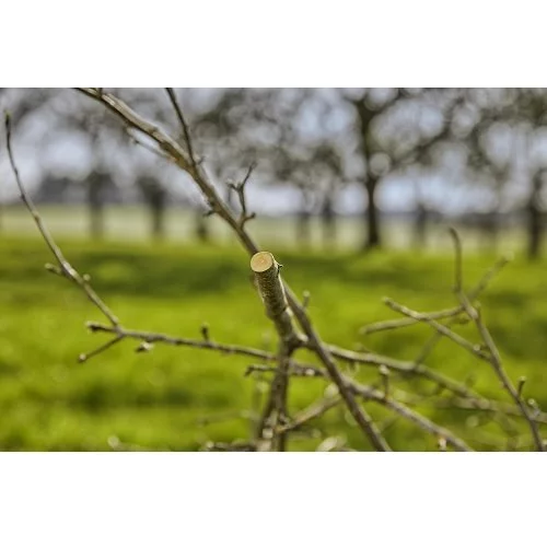 Секатор Gardena ExpertCut обвідний 22 мм