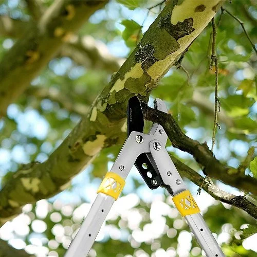 Гілкоріз телескопічний GRUNTEK XT 27-40 Premium з наковаленкою 685-1015 мм