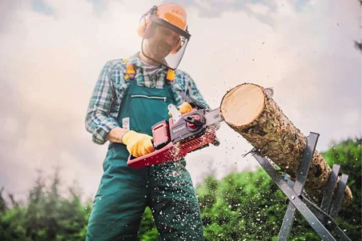 Пила ланцюгова акумуляторна Einhell Professional GP-LC 36/35 Li-Solo 18В PXC шина 35см 15м/с 3.79кг без АКБ та ЗП