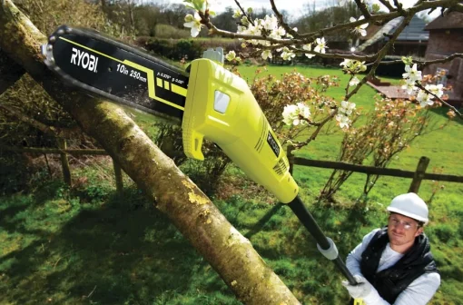 Висоторіз ланцюговий мережевий Ryobi RPP755E 750Вт 25см 2.7м 3.9кг
