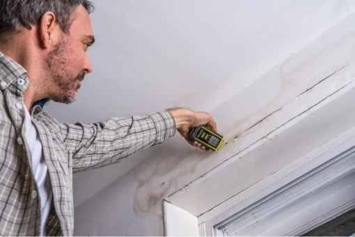 Вологомір Ryobi RBPINMM1 деревина/штукатурка/бетон ±2% 0.1кг