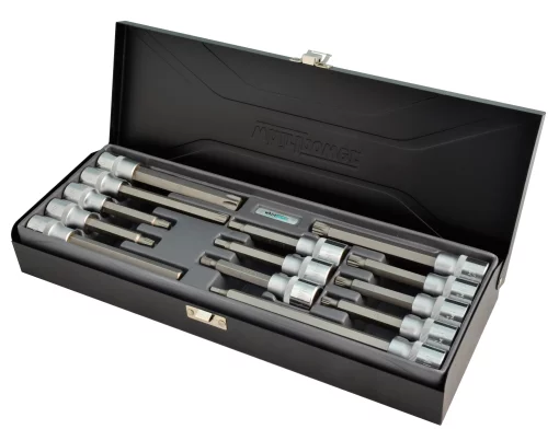 Набір головок зі вставками  Hex, Torx, Ribe 13од. 1/2"  мет.кейс