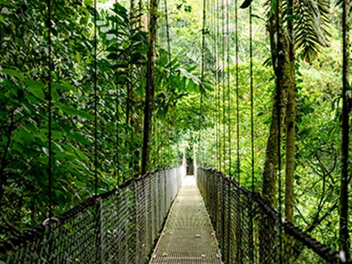 Ноутбук HP Probook 4-G1a 16" WQXGA IPS, AMD R7-250, 48GB, F1024GB, UMA, DOS, сріблястий