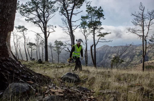 Пила ланцюгова акумуляторна DeWalt 18В шина 30см 3/8" без АКБ та ЗП