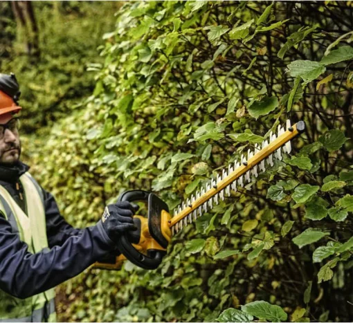 Кущоріз акумуляторний безщітковий зі штангою DeWALT DCMPH566P1