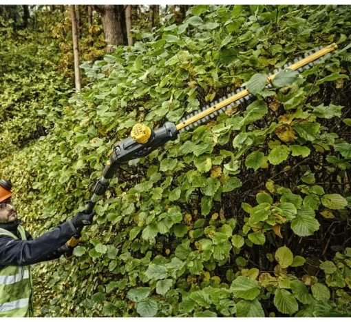 Кущоріз акумуляторний безщітковий зі штангою DeWALT DCMPH566P1