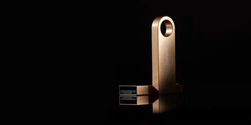 Накопичувач Kingston  256GB USB 3.2 Type-A Gen1 DT SE9 G3