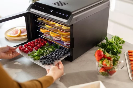 Сушарка для продуктів Gorenje 580Вт, піддонів - 6x1.5см, діаметр - 25см, макс - 75°С, дисплей, пластик+метал, чорний
