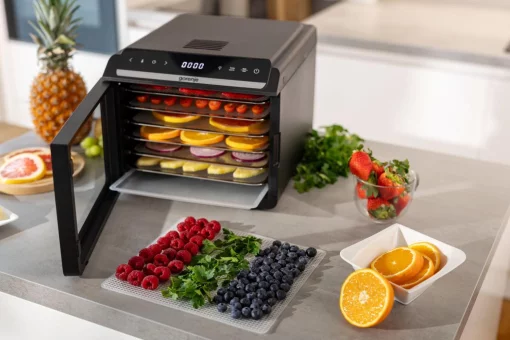 Сушарка для продуктів Gorenje 580Вт, піддонів - 6x1.5см, діаметр - 25см, макс - 75°С, дисплей, пластик+метал, чорний