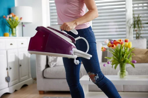 Праска-парогенератор Gorenje, 2800Вт, 1700мл, паровий удар -140гр, мех.упр., керам. підошва, бордовий