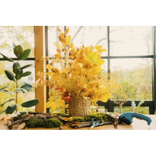 Кущоріз-ножиці акумуляторні Gardena ClassicCut